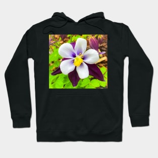 Columbine Hoodie